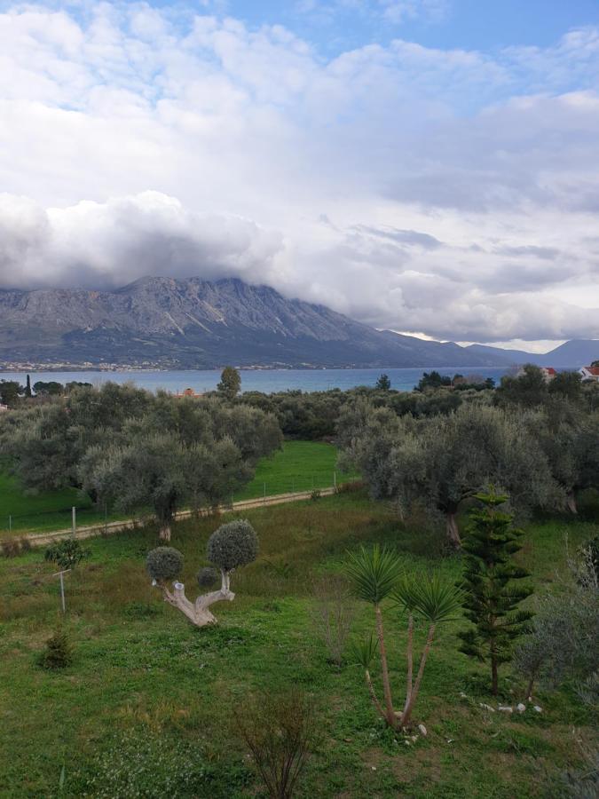 Pogonia Panorama Apartment Palairos Экстерьер фото